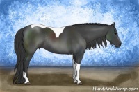 Horse Color:Black Tobiano Rabicano