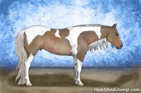Horse Color:Silver Black Tobiano Rabicano