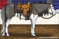 Horse Color:Grullo Splash 