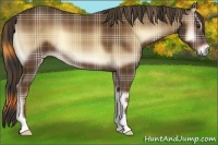 Horse Color:Plaid Red Onyx