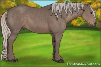 Horse Color:Silver Black 