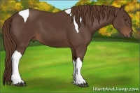 Horse Color:Liver Chestnut Tobiano 