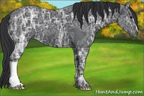 Horse Color:Black Ice 