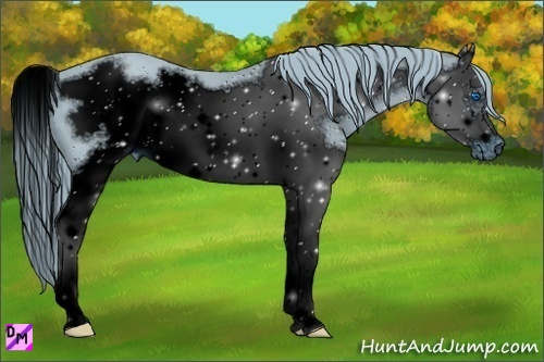 Horse Color:ERROR: UNKNOWN ANOMALY