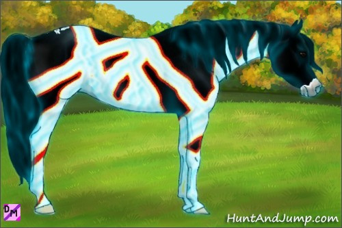 Horse Color:Gray Thunderstruck White Spotted Bay Onyx Splash 