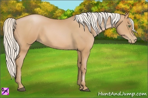 Horse Color:Silver Bay Pearl 