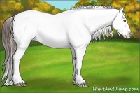 Horse Color:Liver Chestnut Sabino Varnish 
