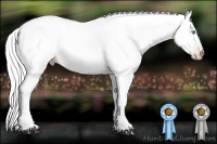 Horse Color:Gray White Spotted Palomino Pearl Tobiano 