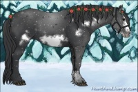 Horse Color:Black Sabino Frame