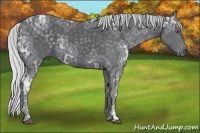 Horse Color:Silver Black Chinchilla Ice