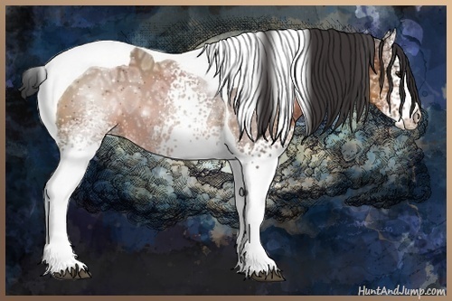 Horse Color:White Spotted Bay Ice Tobiano 