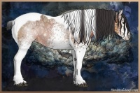 Horse Color:White Spotted Bay Ice Tobiano