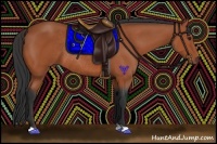 Horse Color:Bay Rabicano 