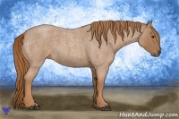 Horse Color:Red Roan 