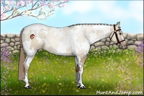 Horse Color:White Spotted Grullo Pearl