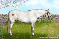 Horse Color:White Spotted Grullo Pearl