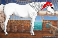 Horse Color:Grullo Near Leopard 