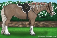 Horse Color:Silver Black Splash
