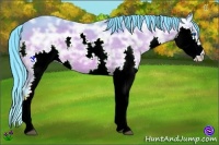 Horse Color:Watercolor Bay Ice Splash