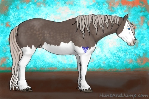 Horse Color:Silver Black Splash