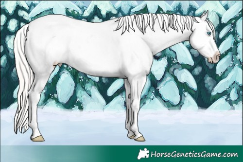 Horse Color:Cremello Sabino Snowcap Rabicano 