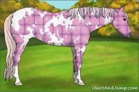Horse Color:Watercolor Plaid  White Spotted Silver Grullo 