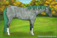 Horse Color:Watercolor Classic Champagne Ice Roan