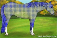 Horse Color:Watercolor Plaid Bay