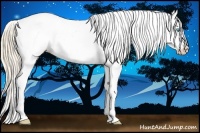 Horse Color:Perlino Dun Splash Snowcap 