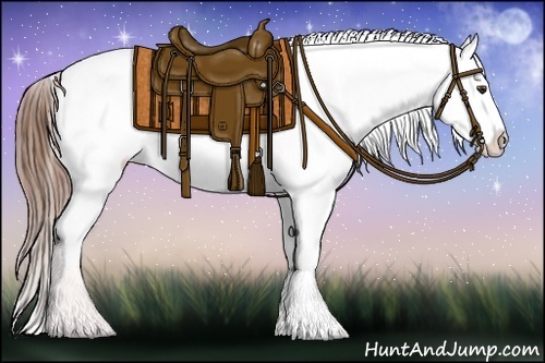 Horse Color:Chestnut Snowflake Varnish