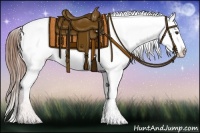 Horse Color:Chestnut Snowflake Varnish
