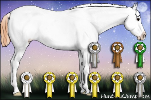 Horse Color:Bay Snowflake Varnish