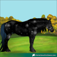 Horse Color:ERROR: UNKNOWN ANOMALY