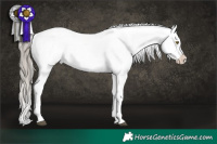 Horse Color:Liver Red Roan Appaloosa 