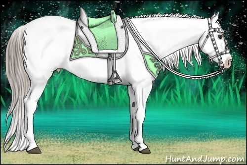 Horse Color:Chocolate Palomino Ice Appaloosa 