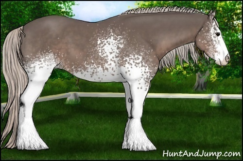 Horse Color:White Spotted Silver Black Sabino 