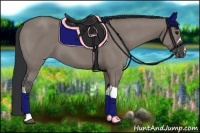 Horse Color:Grullo 