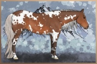Horse Color:White Spotted Silver Brown