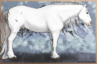 Horse Color:Bay Tobiano Snowcap