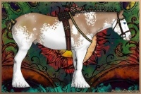 Horse Color:White Spotted Bay Splash 