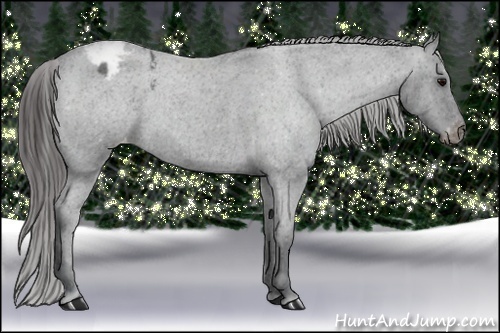 Horse Color:Blue Roan Varnish 