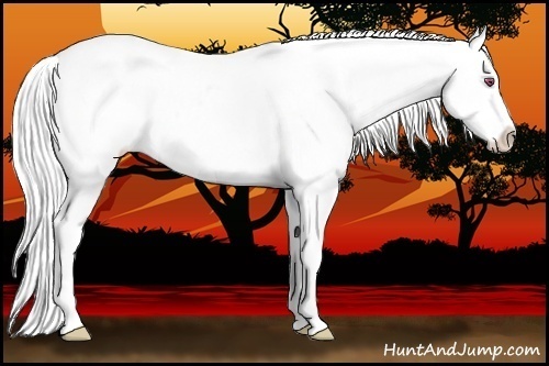 Horse Color:Silver Buckskin Chinchilla Varnish