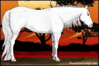 Horse Color:Silver Buckskin Chinchilla Varnish 