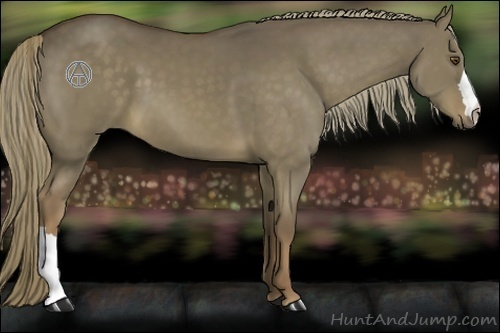Horse Color:Liver Red Dun 