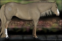 Horse Color:Liver Red Dun 