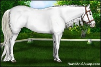 Horse Color:Chestnut Mushroom Snowflake Varnish