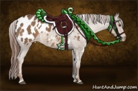 Horse Color:White Spotted Chestnut Appaloosa 