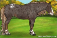 Horse Color:Liver Chestnut Sabino Splash Varnish and Liver Chestnut Sabino Splash Varnish