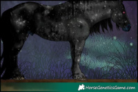 Horse Color:ERROR: UNKNOWN ANOMALY and ERROR: UNKNOWN ANOMALY