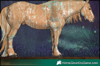 Horse Color:Watercolor White Spotted Silver Blue Onyx Chinchilla Ice Sabino Rabicano  Brindle